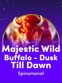 Majestic-Wild-Buffalo---Dusk-Till-Dawn
